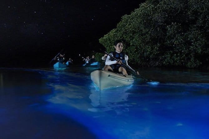 Mangrove Tunnels, Dolphins, Manatee Tour #1 Rated in Cocoa Beach - FAQ