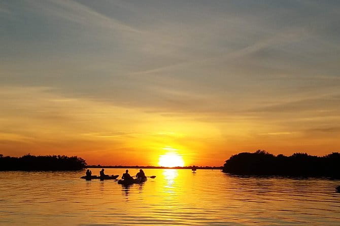 Sunset Tour Mangrove, Dolphins, Manatee #1 Rated in Cocoa Beach - Equipment, Guides, and Other Details