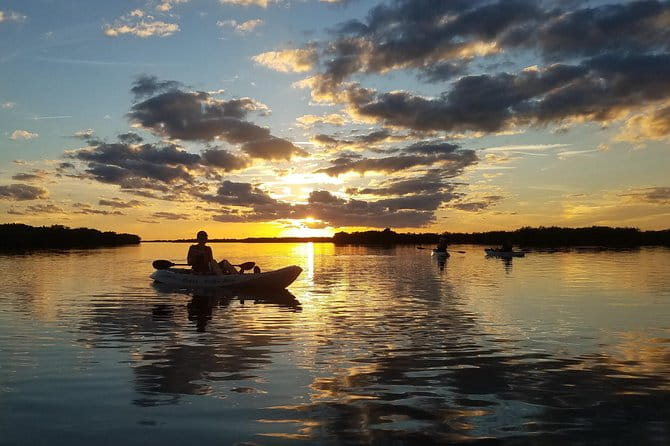 Sunset Tour Mangrove, Dolphins, Manatee #1 Rated in Cocoa Beach - FAQ