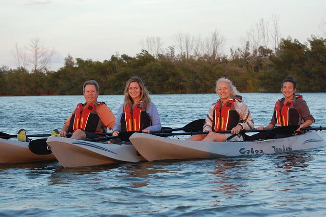Sunset Tour Mangrove, Dolphins, Manatee #1 Rated in Cocoa Beach - The Sum Up