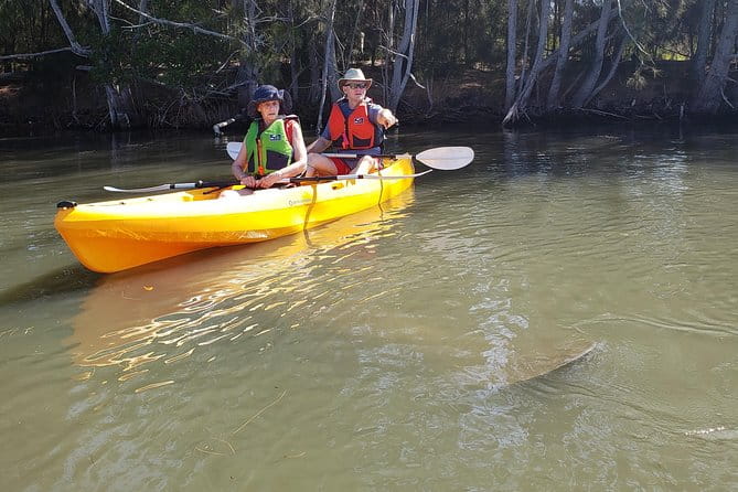 Manatee and Dolphin Kayaking | Wildlife Refuge (Titusville) - Practical Information for Travelers