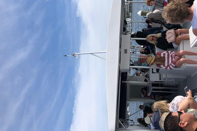 Flippers Adventures Dolphin Cruise - In-Depth Look at the Experience