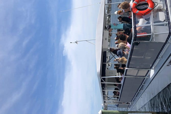 Flippers Adventures Dolphin Cruise - FAQ: Your Questions About the Flippers Adventures Dolphin Cruise