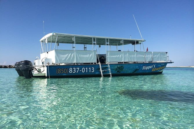 Flippers Adventures 2 Stop Snorkeling and Dolphin Cruise - The Practical Side: Booking and Cancellation