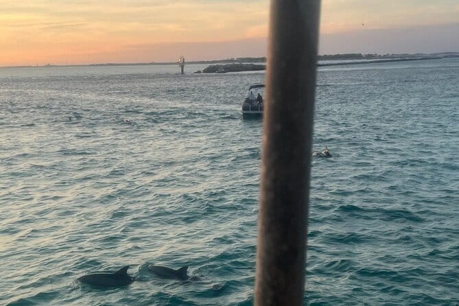 Dolphin & Sunset Cruises - Key Points