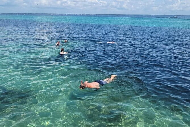 Family Friendly Snorkeling and Dolphin Tour - The Sum Up