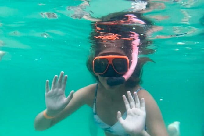 Family Friendly Snorkeling and Dolphin Tour - Who Will Love This Tour