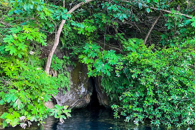 Clear Kayaking Eco Adventure Tour in Marianna - Who Will Love This Tour?