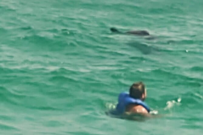 2 Hours Swim with the Dolphins in Panama City - FAQs