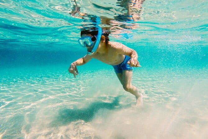 Snorkeling and Dolphin Watching Experience in Destin - The Quality of the Crew and Overall Experience