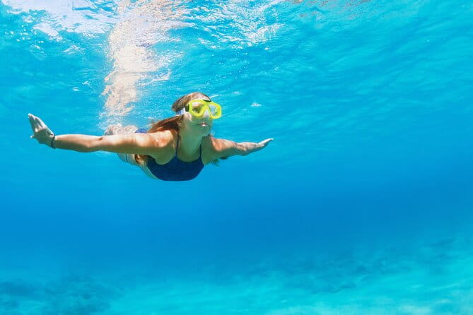 Snorkeling and Dolphin Watching Experience in Destin - Who Will Love This Tour?