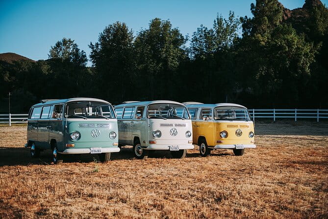 Los Angeles: Private Vintage VW Bus Tour in Malibu - Who Will Love This Tour?