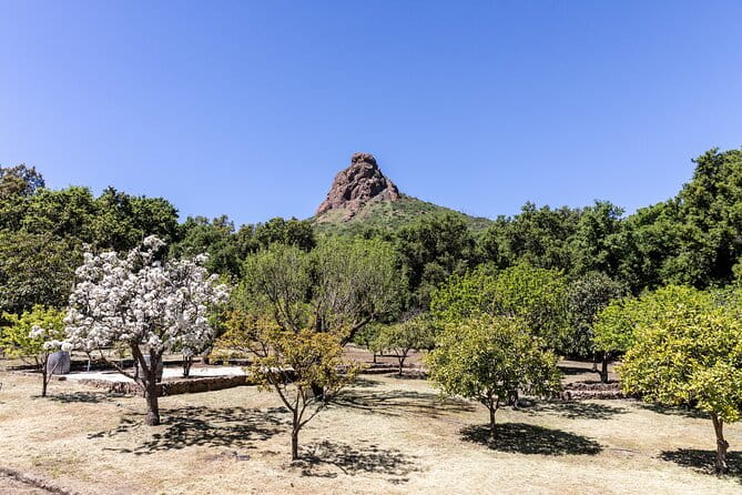 Malibu: Guided Vineyard Hike with Photo Stops and Wine - What the Reviews Reveal