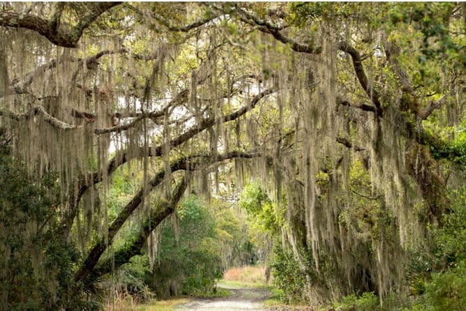 Myakka State Park E-bike Safari - Final Thoughts