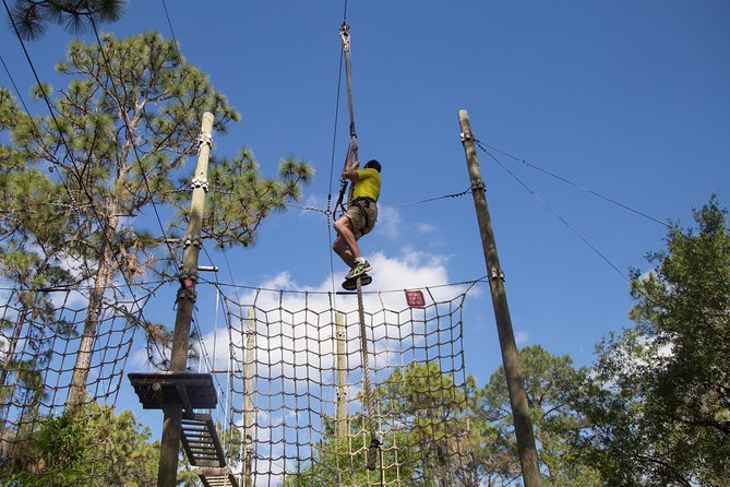 TreeUmph Adventure Course - A Day in the Treetops: What to Expect