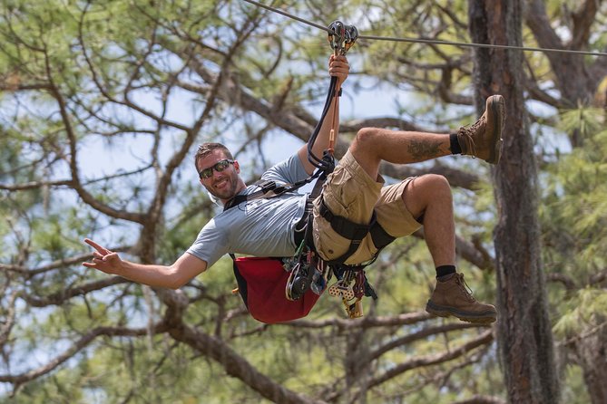 TreeUmph Adventure Course - The Review in Their Words