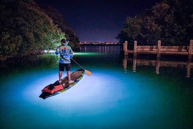 Sarasota - Clear Kayak LED Night Glass Bottom Tour - Who Will Love This Tour?