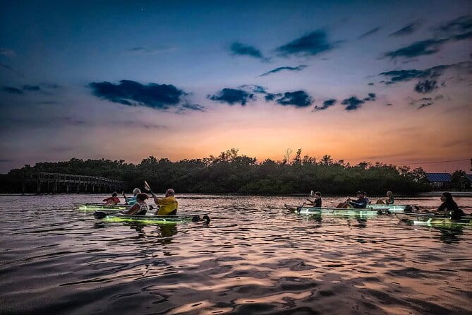 Sarasota - Clear Kayak LED Night Glass Bottom Tour - Final Thoughts