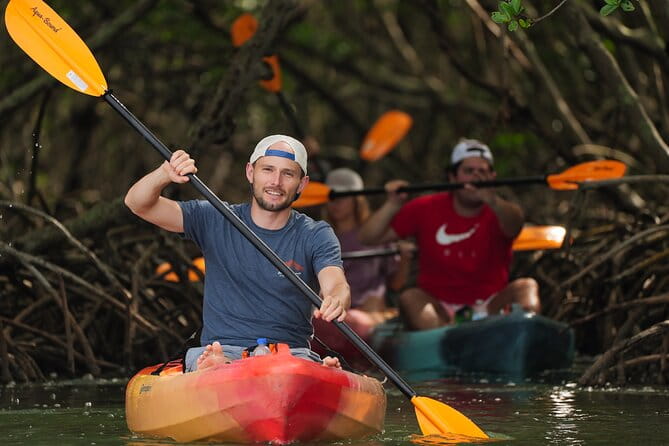 Sarasota Mangrove Tunnel Guided Kayak Adventure - The Sum Up: Why This Tour Is a Winner