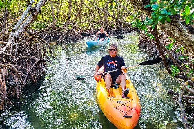 Mangroves, Manatees, and a Hidden Beach: Kayak Tour - What the Reviews Say