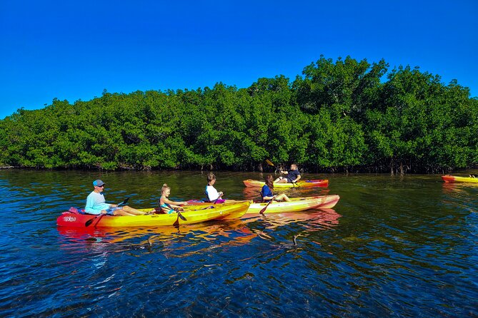 Mangroves, Manatees, and a Hidden Beach: Kayak Tour - FAQ