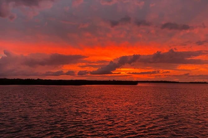 Wildlife Tour of Indian River Lagoon with Experienced Captain - An Honest Look at the Indian River Lagoon Wildlife Tour