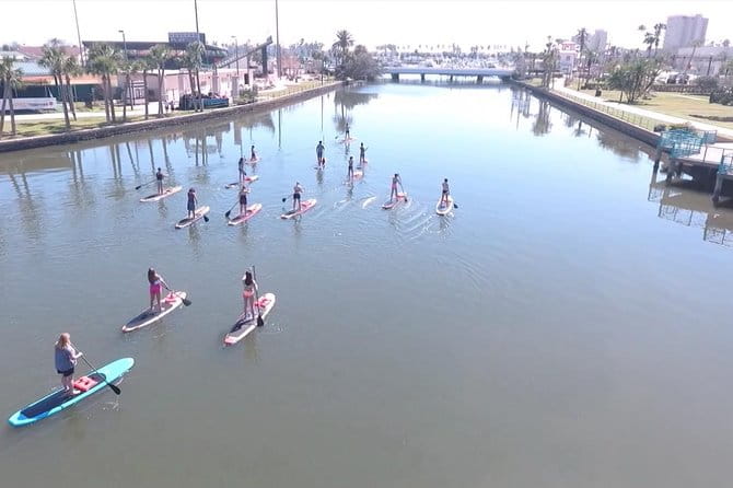 Dolphin and Manatee Stand Up Paddleboard Tour in Daytona Beach - Practical Details