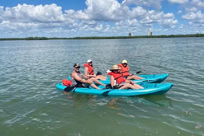 Dolphin and Manatee Kayak Tour of Daytona Beach - Who Will Love This Tour?