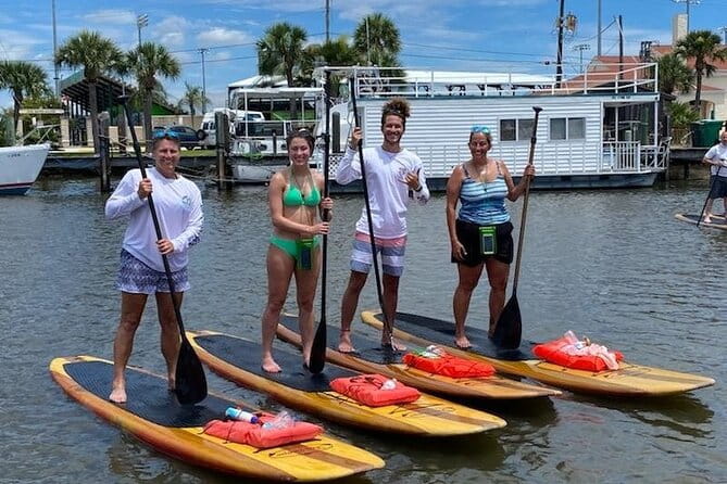 Dolphin and Manatee Stand Up Paddleboard Tour in Daytona Beach - Pricing and Value