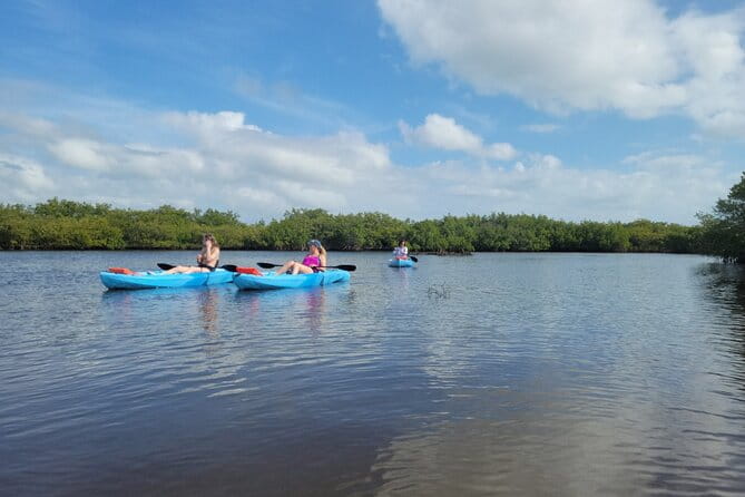 New Smyrna Dolphin and Manatee Kayak and SUP Adventure Tour - Why This Tour Is a Great Choice