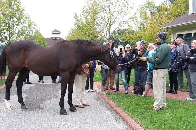 Bourbon Distillery & Horse Farm Tours - Practical Details to Keep in Mind