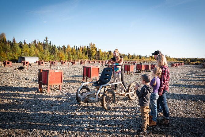 Mush Your Own Sled Dog Team (Summer/Fall Tour) - Who Should Consider This Tour?