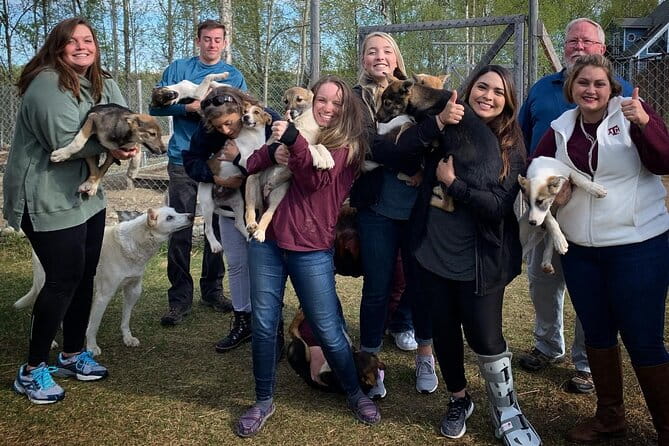 Summer Dog Sledding Adventure in Willow, Alaska - Final Thoughts