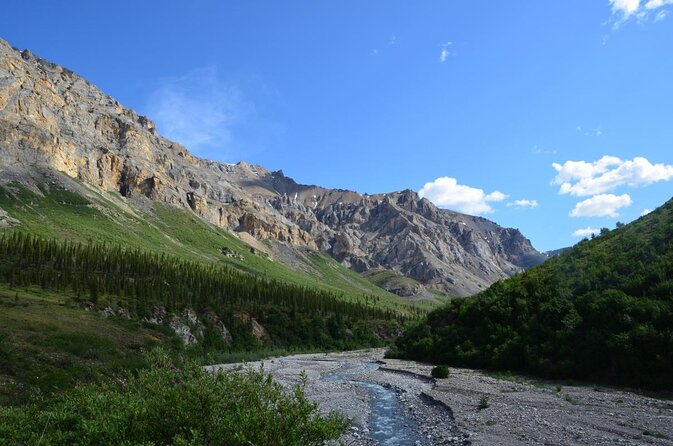 Denali Flyer Flightseeing Tour from Talkeetna - Key Points