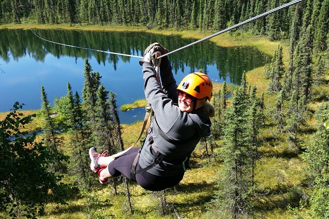 Denali Zipline Tour in Talkeetna, AK - The Itinerary: What to Expect