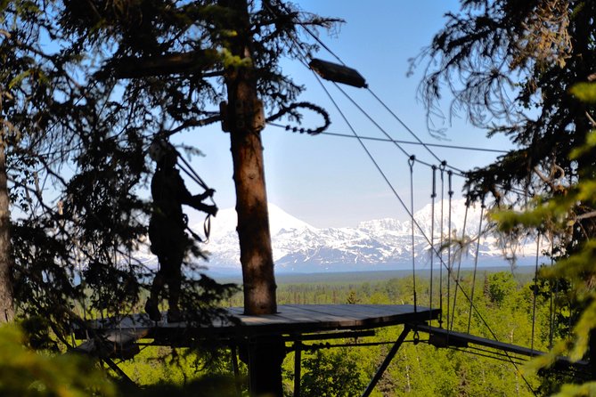 Denali Zipline Tour in Talkeetna, AK - Group Size and Atmosphere