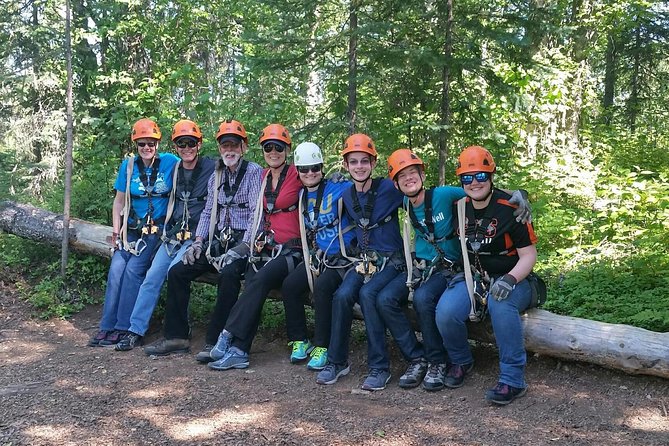 Denali Zipline Tour in Talkeetna, AK - Who Will Love This Tour?