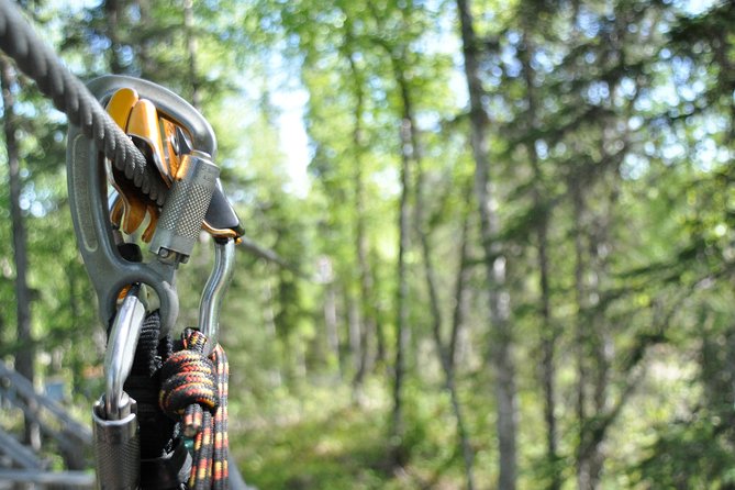 Denali Zipline Tour in Talkeetna, AK - Concluding Thoughts