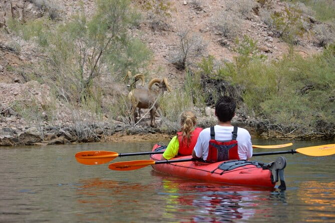 4-Hour Kayak Deluxe Tour in Emerald Cave with Catered Lunch - Practical Details: What You Need to Know