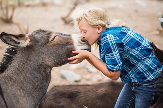 Cowpoke Ride: Adventurous horseback tour just 9 MILES from Sedona - FAQ