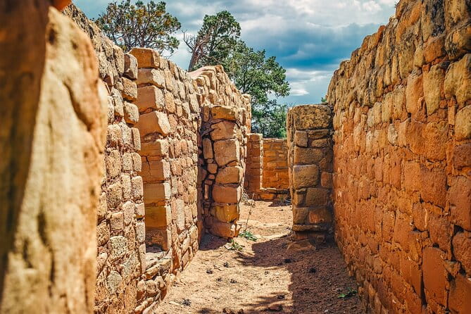 Mesa Verde National Park Half Day Tour - What to Expect from the Mesa Verde Half Day Tour