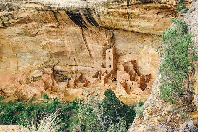 Mesa Verde National Park Half Day Tour - Practical Tips for Your Visit