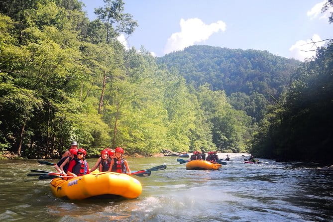Middle Ocoee River Rafting Adventure Tour - What the Tour Offers