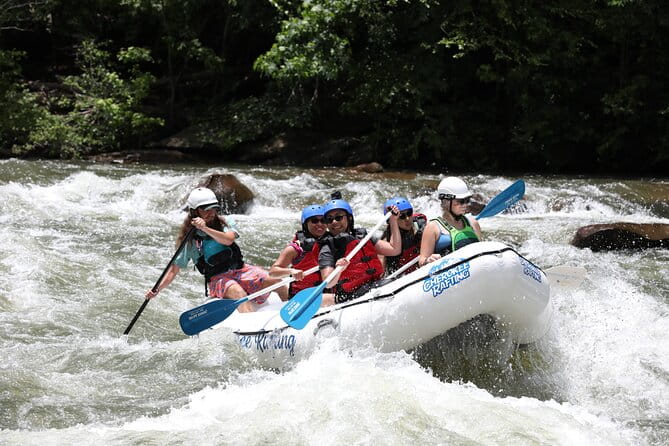 Ocoee River Middle Whitewater Rafting Trip (Most Popular Tour) - Who Will Love This Tour?