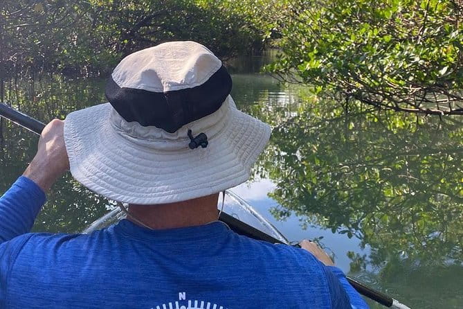 Clear Kayak Tours in Fort Pierce - The Sum Up: Why This Tour Is Worth It