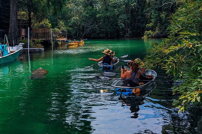 Weeki Wachee Clear Kayak Ecotours Manatee Season - November 14th-March 31st - What to Expect from the Tour