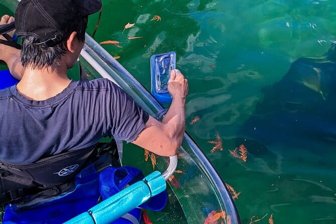 Weeki Wachee Clear Kayak Ecotours Manatee Season - November 14th-March 31st - The Guides and Their Impact