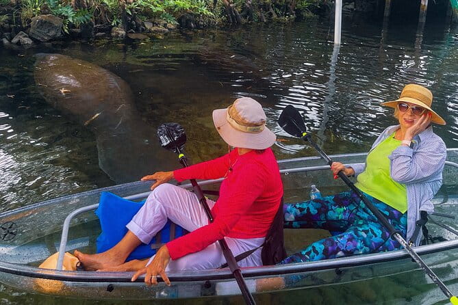 Weeki Wachee Clear Kayak Ecotours Manatee Season - November 14th-March 31st - The Sum Up