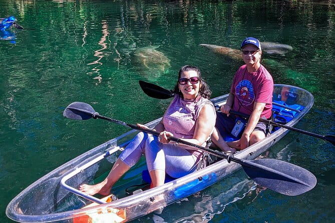 Weeki Wachee Clear Kayak Ecotours Manatee Season - November 14th-March 31st - The Practical Side: Booking, Cost, and Group Size