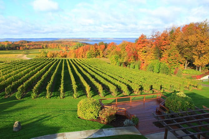 5-Hour Traverse City Wine Tour: 4 Wineries on Old Mission Peninsula - Detailed Breakdown of the Itinerary